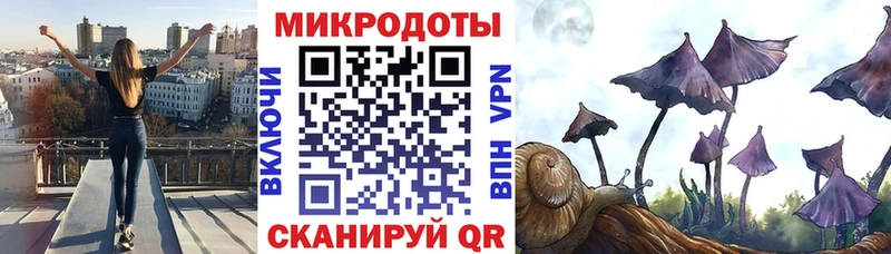 Галлюциногенные грибы Psilocybe  как найти   Железноводск 